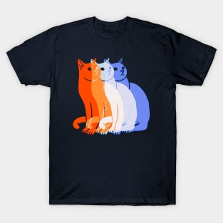 The faces of a Cat T-Shirt